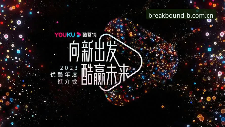 体育中国VIP注册 B体育平台2024体验报告:从下载到VIP注册的全链路深度分析